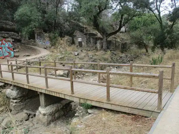 גשר עץ טבעי בסביבת הטבע, טיילת נוחה להליכה ושביל הליכה מוקף עצים יפים ואור טבעי, המיועד לביקור והתבוננות בסביבה הטבעית, תחת קונספט של שמירת טבע ופתוח לציבור.