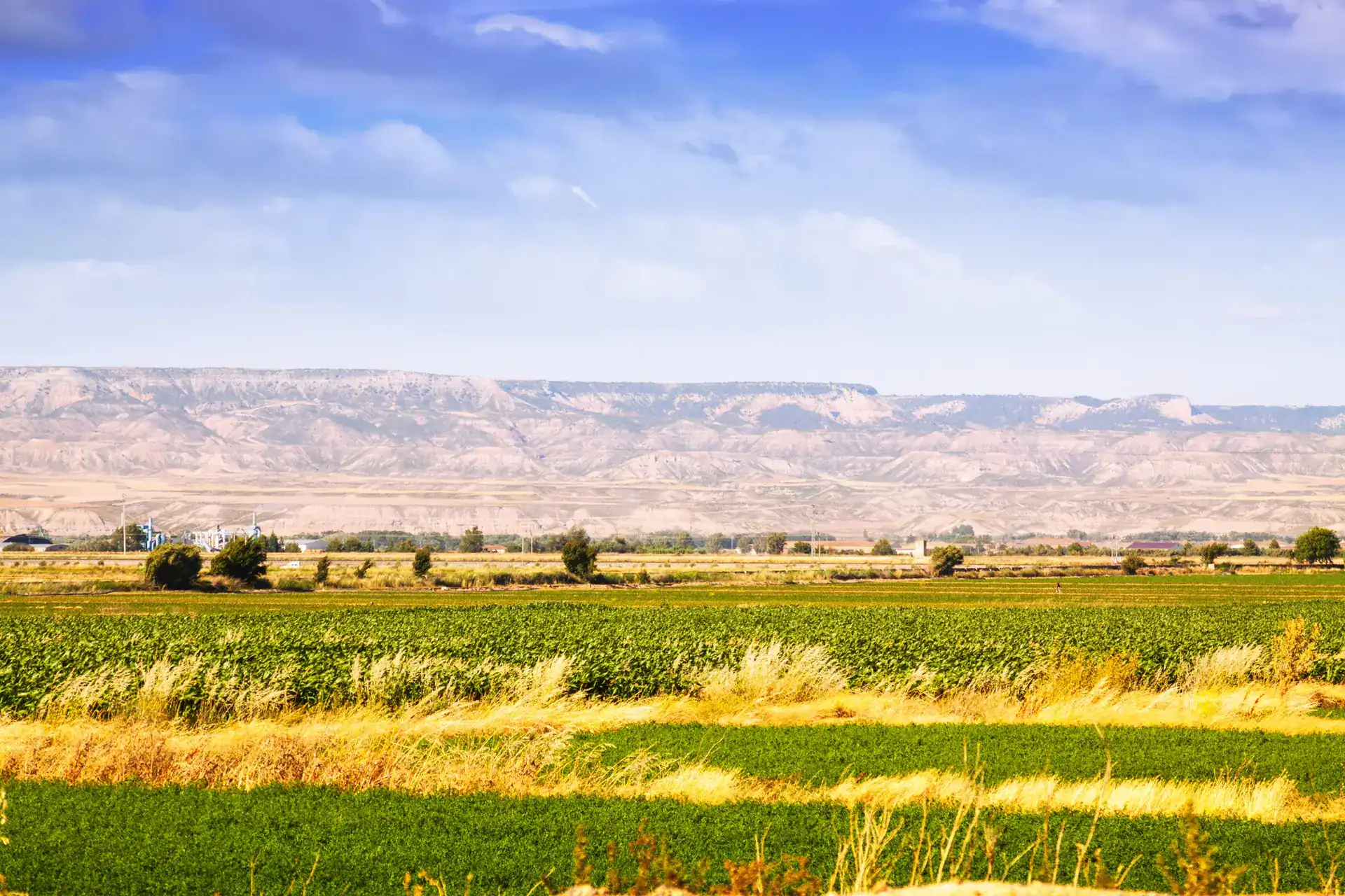 שדות חיטה ירוקים ושדות חקלאיים באזור כפרי עם הרים ברקע ומבנה תעשייתי, ביום בהיר עם שמיים כחולים וענני קסם, תמונה של אקלימה.
